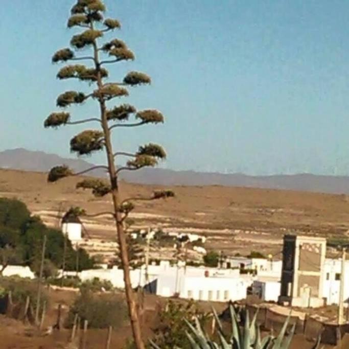 Casa Rural El Jazminero Fernan Perez Екстер'єр фото